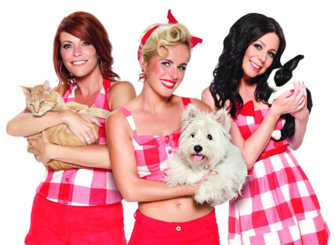 K3 Dierenhotel