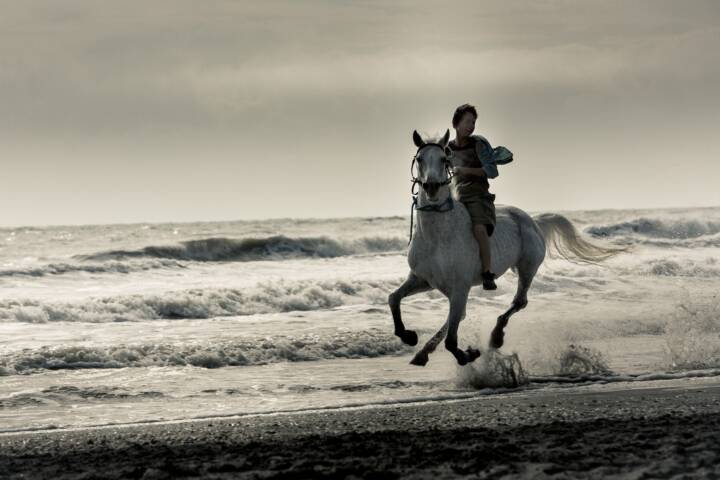 Galloping Mind